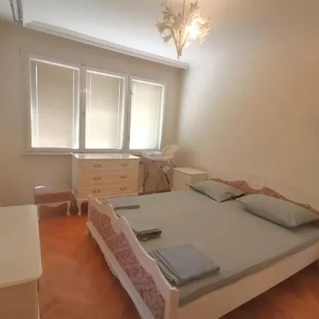 J Family Budget Daire Vidin